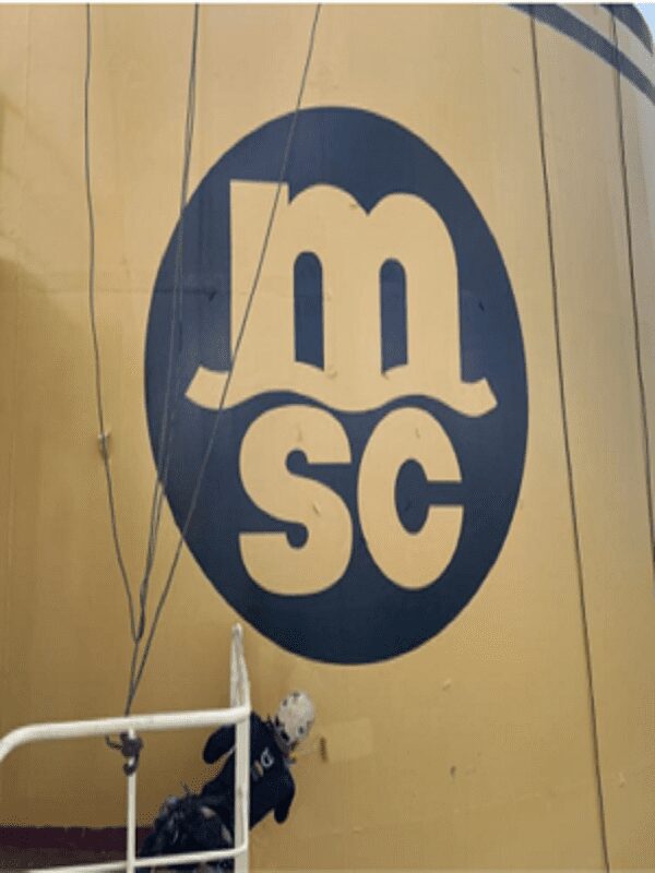 M SC Logo